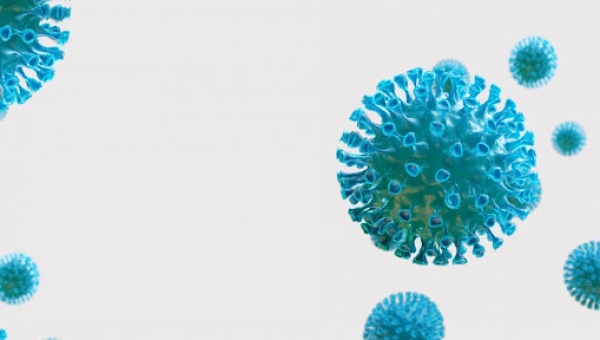 Жіті респираторлық вирустық инфекция (ЖРВИ)